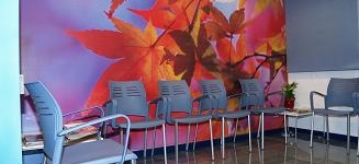 Consulta medica a Noumèdic Figueres