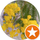 jeanne balaguer profile picture